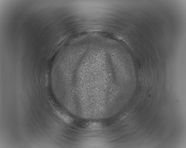 X0000062790741200601051045