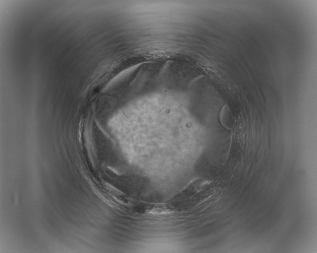 X0000062790742200601051045