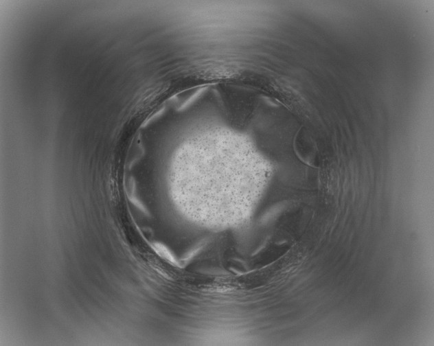 X0000062790743200601051045