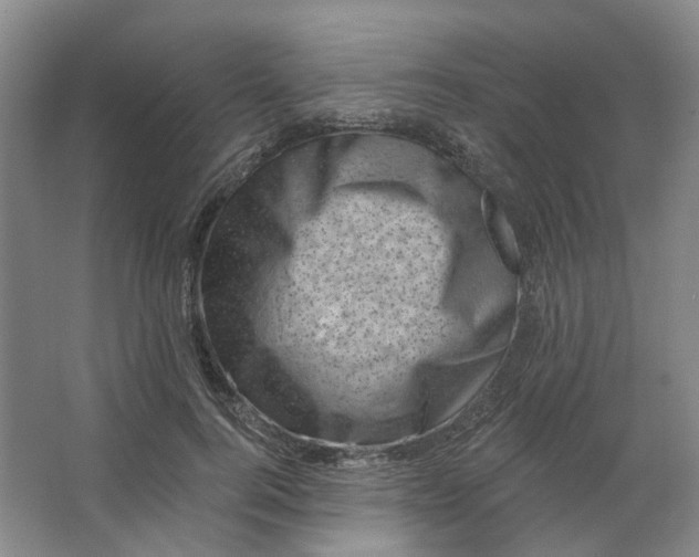 X0000062790744200601051045