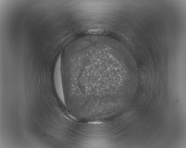 X0000062790745200601051045