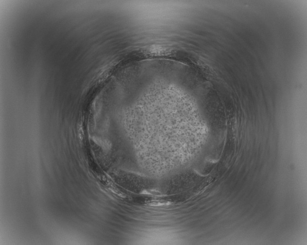 X0000062790746200601051045