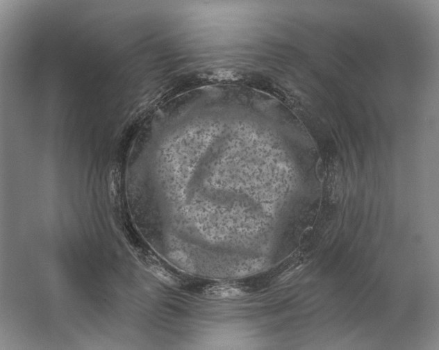 X0000062790747200601051045