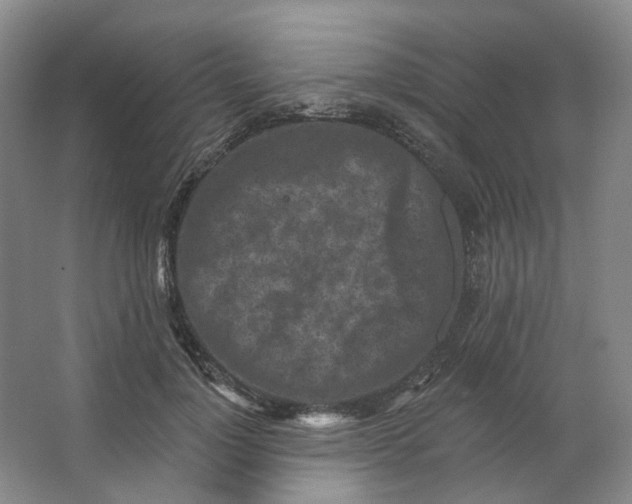 X0000062790748200601051045