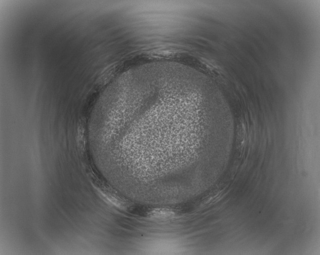 X0000062790749200601051045