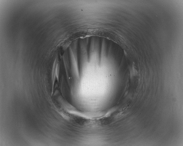 X0000062790750200601051045