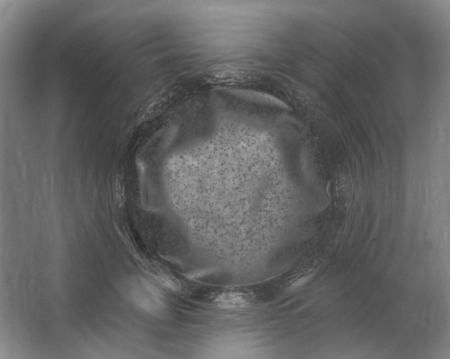 X0000062790751200601051045