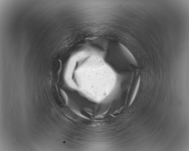 X0000062790752200601051045