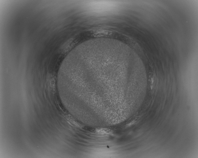 X0000062790753200601051045