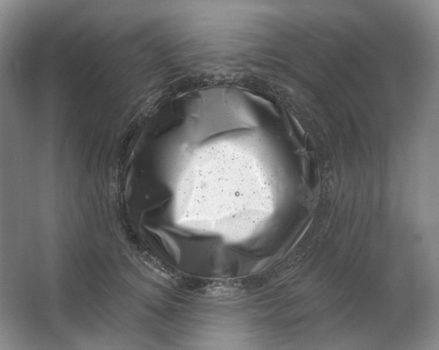 X0000062790756200601051045