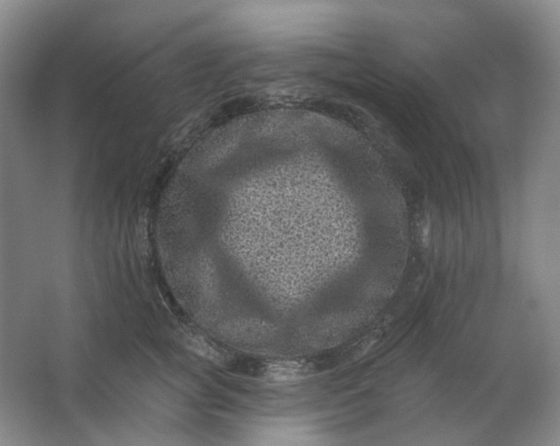 X0000062790757200601051045