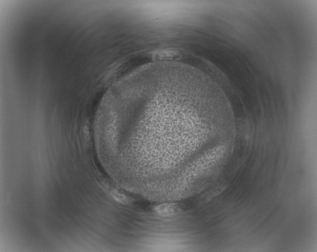 X0000062790761200601051045