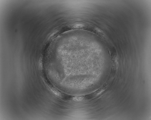 X0000062790762200601051045