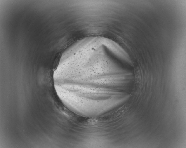 X0000062790764200601051045