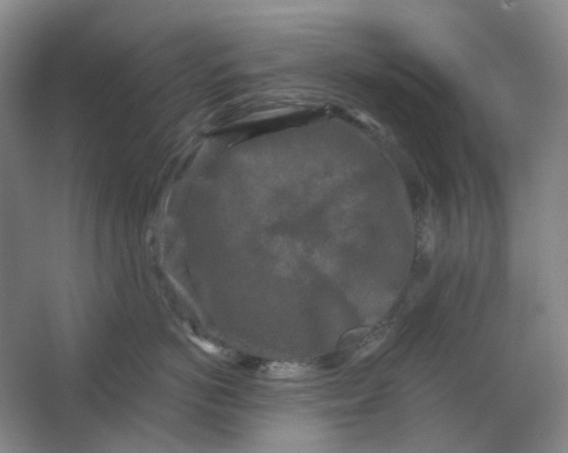 X0000062790766200601051045