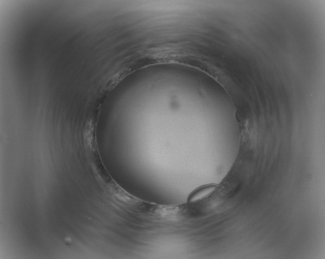 X0000062790767200601051045