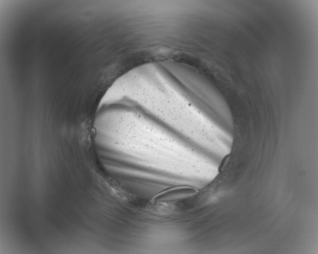 X0000062790768200601051045