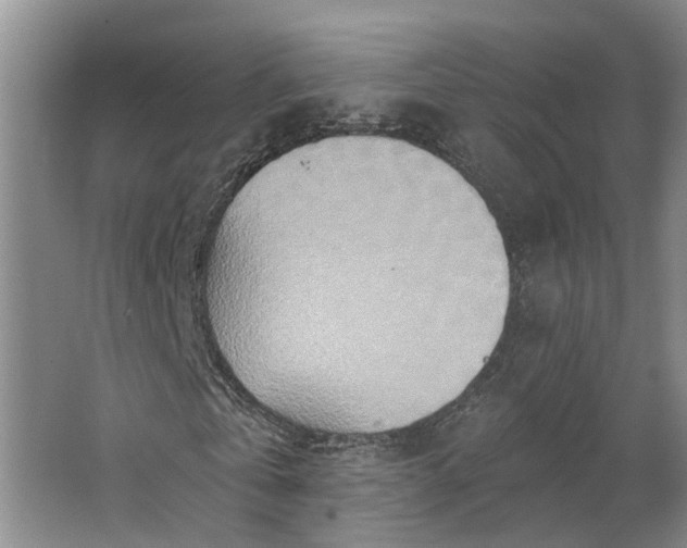 X0000062790769200601051045