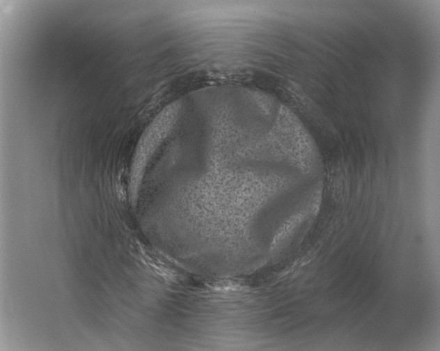 X0000062790770200601051045