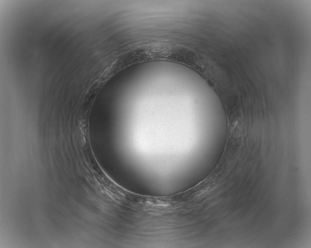 X0000062790772200601051045