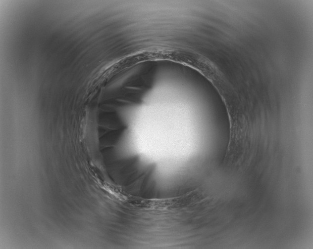 X0000062790773200601051045