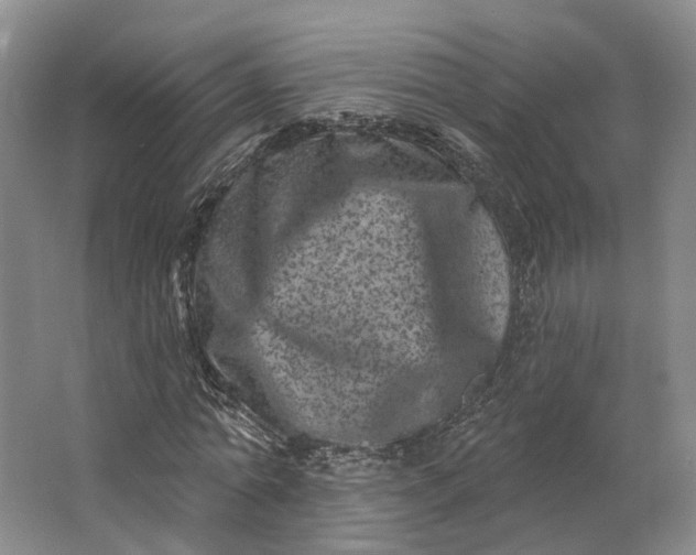 X0000062790774200601051045