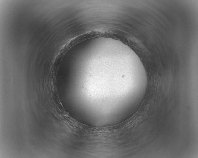 X0000062790776200601051045