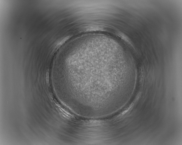 X0000062790777200601051044