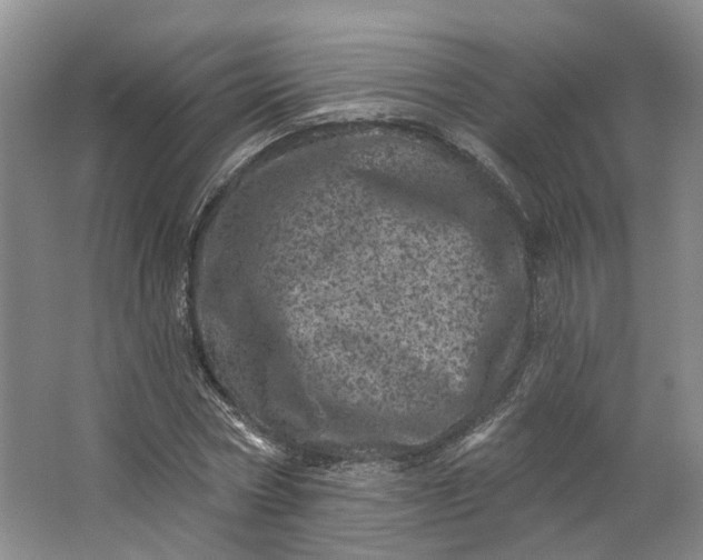 X0000062790778200601051044