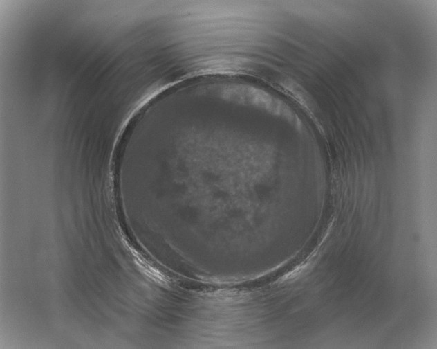 X0000062790779200601051044