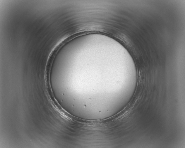 X0000062790780200601051044