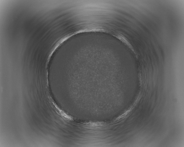 X0000062790781200601051044