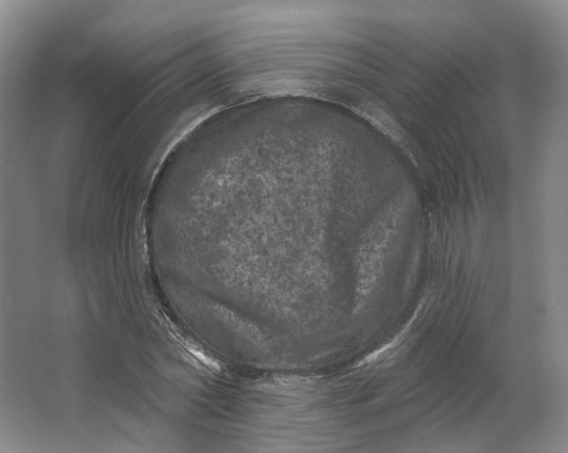 X0000062790782200601051044