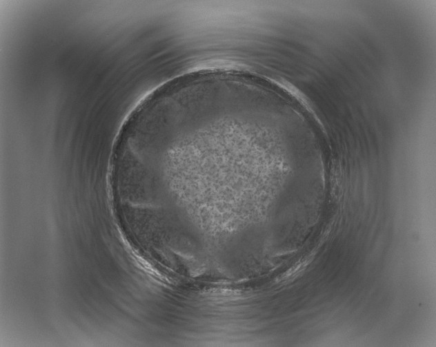 X0000062790783200601051044