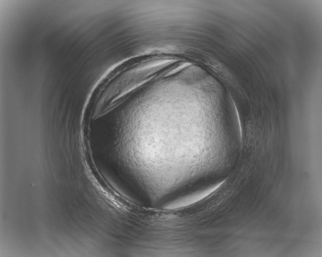 X0000062790784200601051044