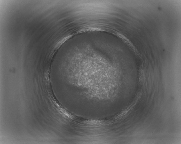 X0000062790785200601051044