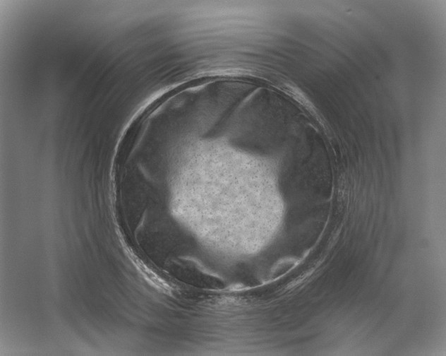 X0000062790787200601051044