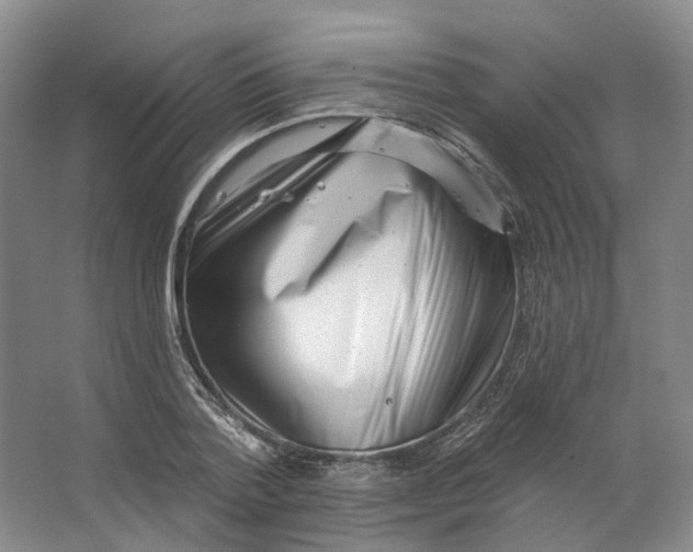 X0000062790788200601051044