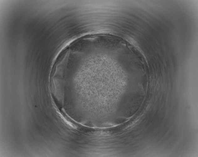 X0000062790789200601051044