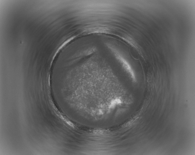 X0000062790790200601051044