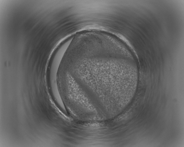 X0000062790791200601051044