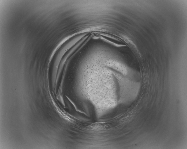 X0000062790792200601051044