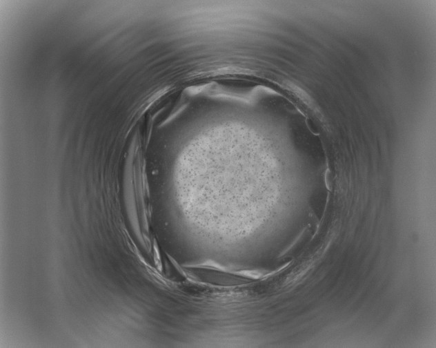 X0000062790793200601051044