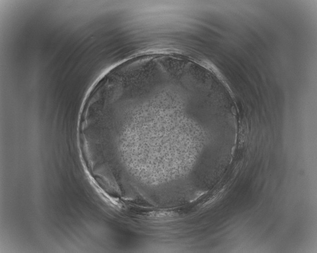 X0000062790795200601051044