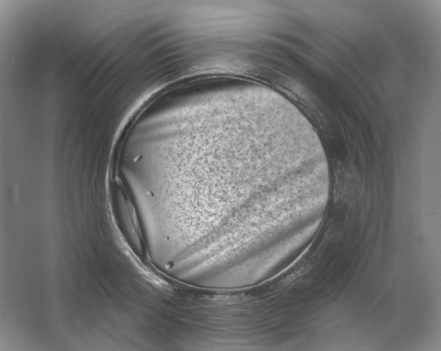 X0000062790796200601051044