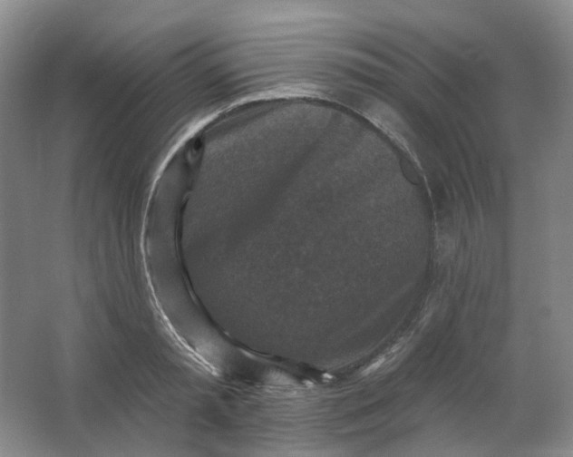 X0000062790797200601051044