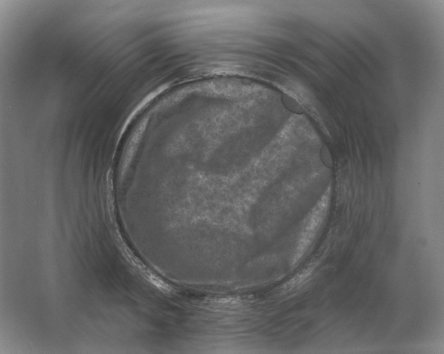 X0000062790798200601051044