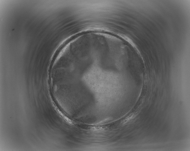 X0000062790799200601051044