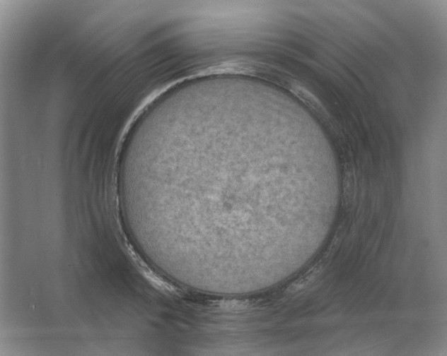 X0000062790800200601051044