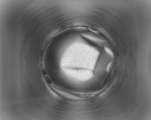 X0000062790801200601051044